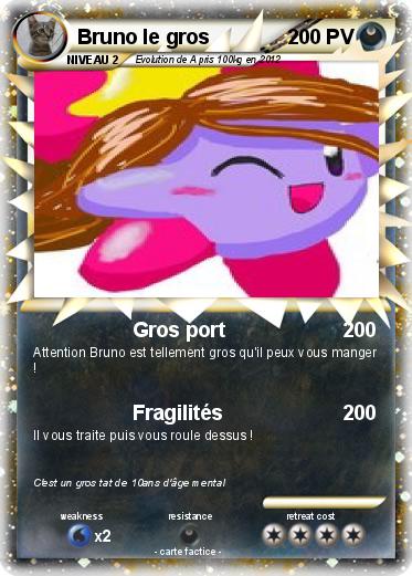Pokemon Bruno le gros