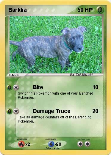 Pokemon Barklia