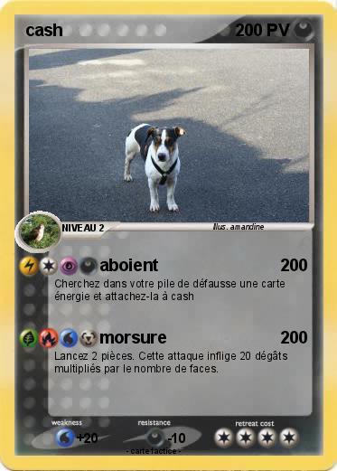 Pokemon cash