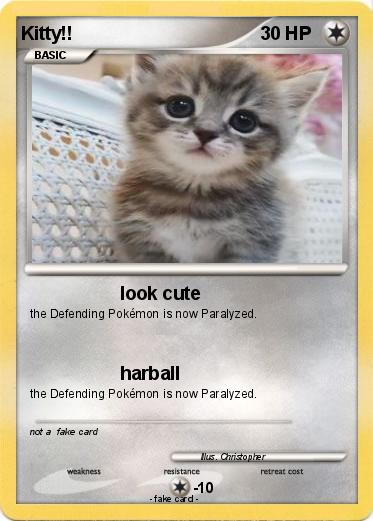 Pokemon Kitty!!