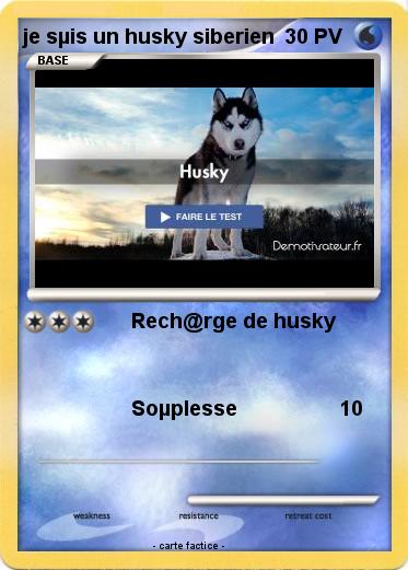 Pokemon je sµis un husky siberien