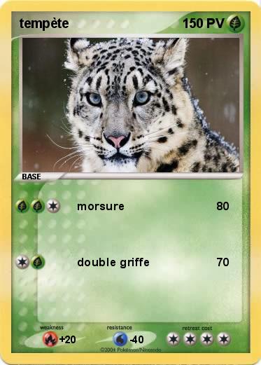 Pokemon tempète 