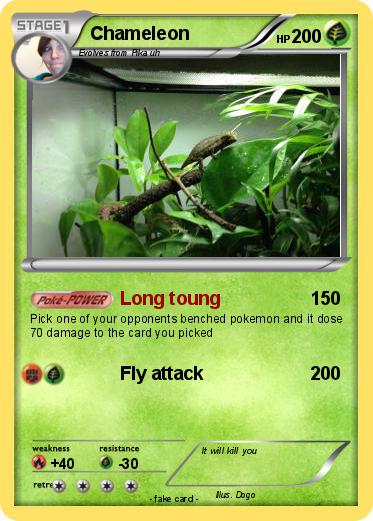 Pokemon Chameleon