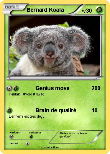 Pokemon Bernard Koala