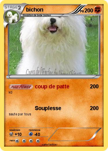 Pokemon bichon