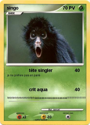 Pokemon singo
