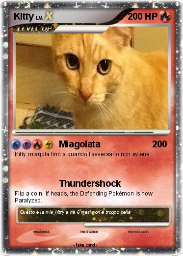 Pokemon Kitty