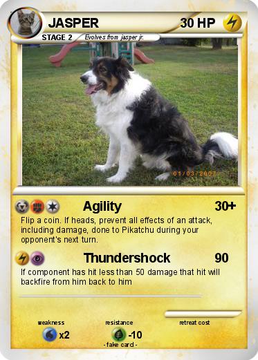 Pokemon JASPER