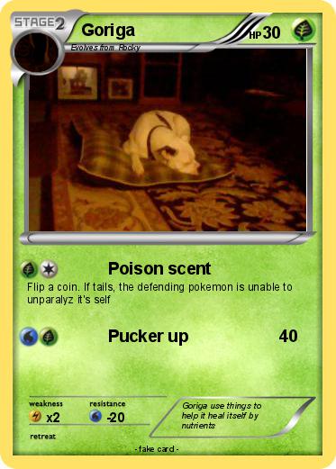 Pokemon Goriga