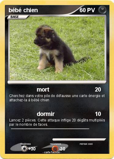 Pokemon bébé chien