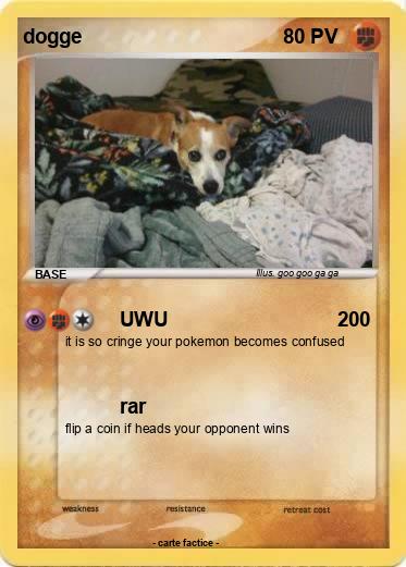 Pokemon dogge