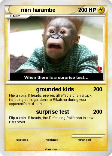 Pokemon min harambe