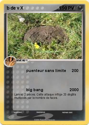 Pokemon b de v X                             1