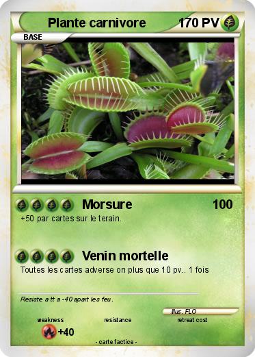 Pokemon Plante carnivore