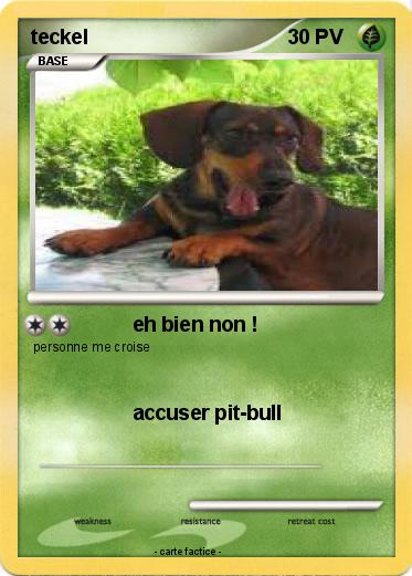 Pokemon teckel
