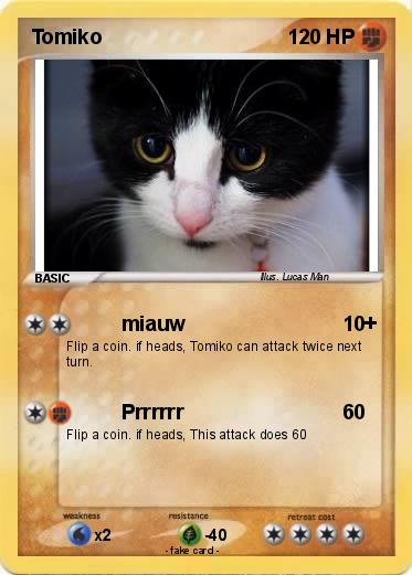 Pokemon Tomiko