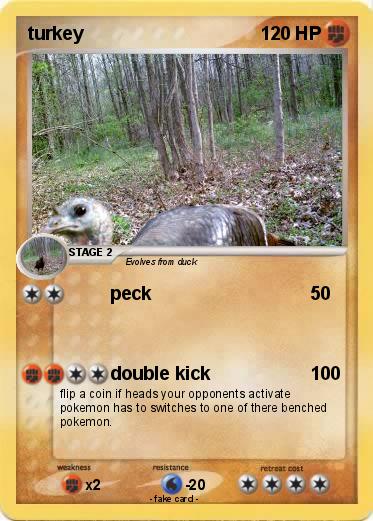 Pokemon turkey