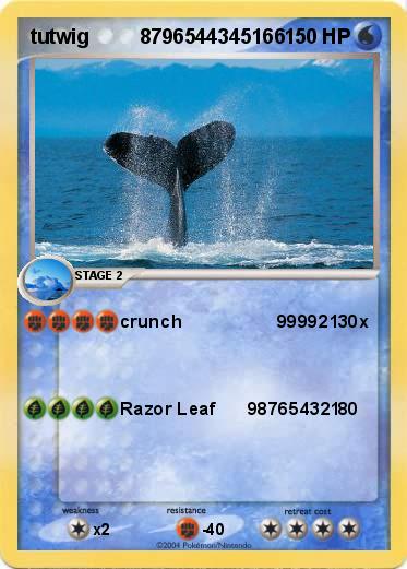 Pokemon tutwig         8796544345166