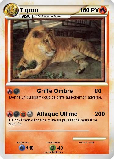 Pokemon Tigron