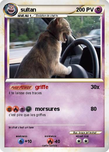 Pokemon sultan