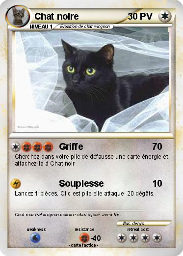 Pokemon Chat noire