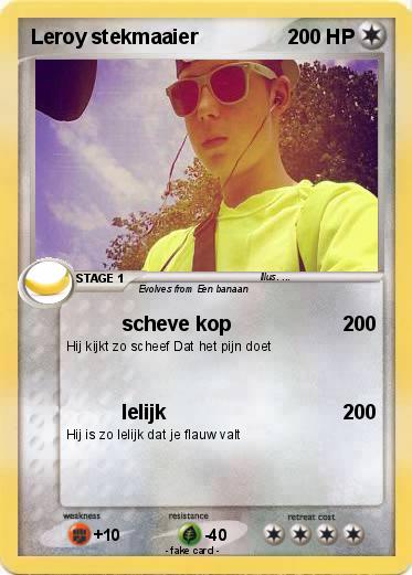 Pokemon Leroy stekmaaier