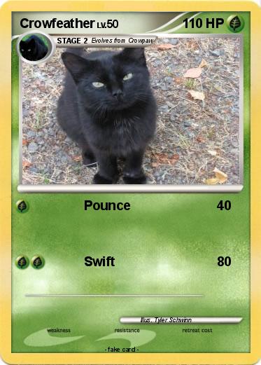 Pokemon Crowfeather