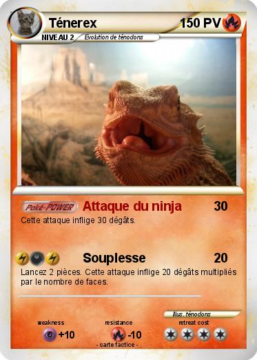 Pokemon Ténerex