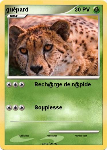 Pokemon guèpard