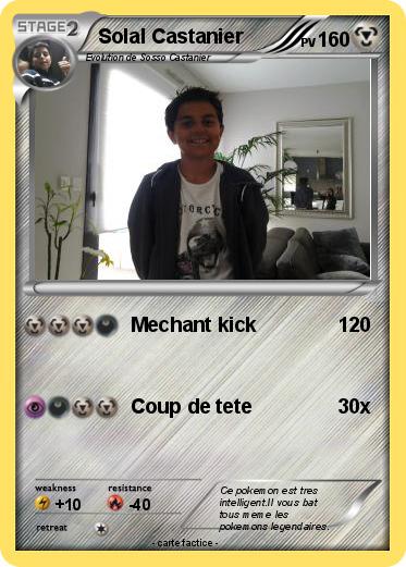 Pokemon Solal Castanier