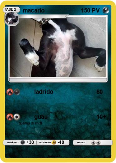Pokemon macario