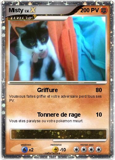 Pokemon Misty