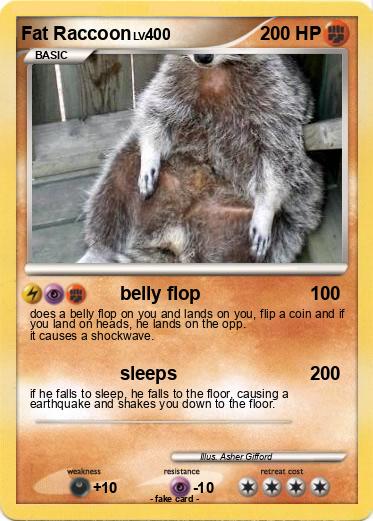 Pokemon Fat Raccoon
