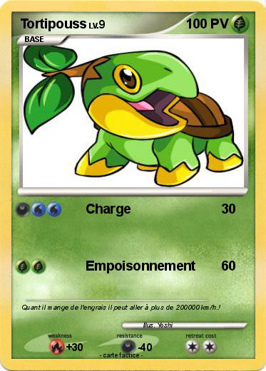 Pokemon Tortipouss