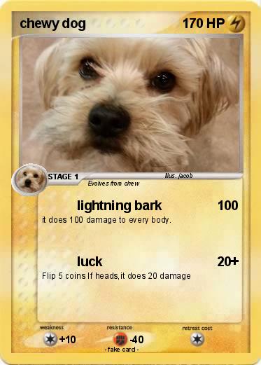 Pokemon chewy dog