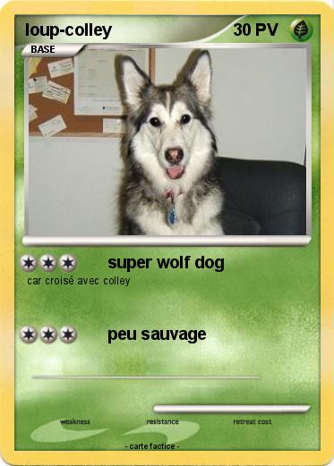 Pokemon loup-colley