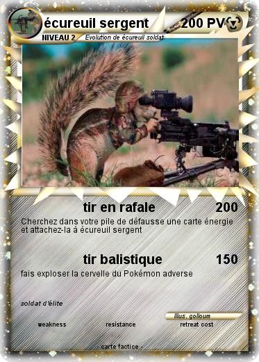 Pokemon écureuil sergent