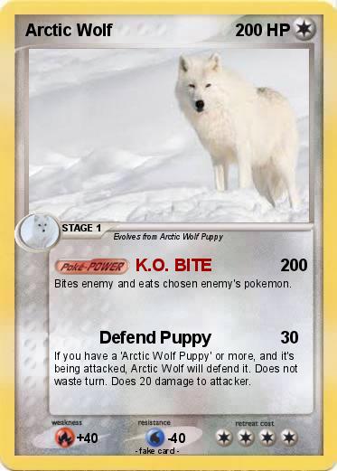 Pokemon Arctic Wolf