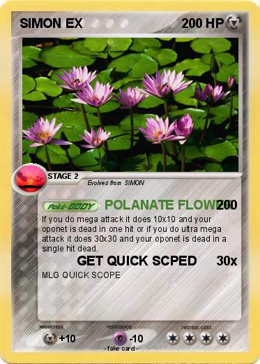Pokemon SIMON EX