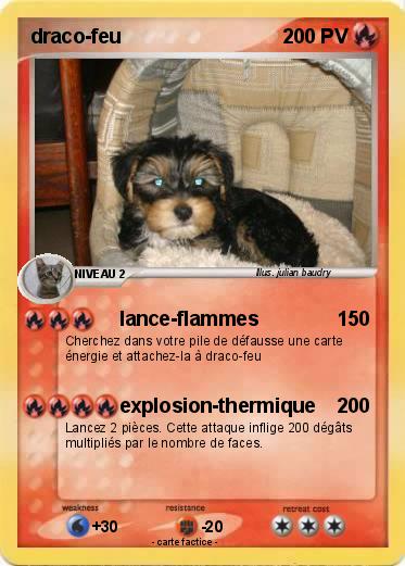 Pokemon draco-feu