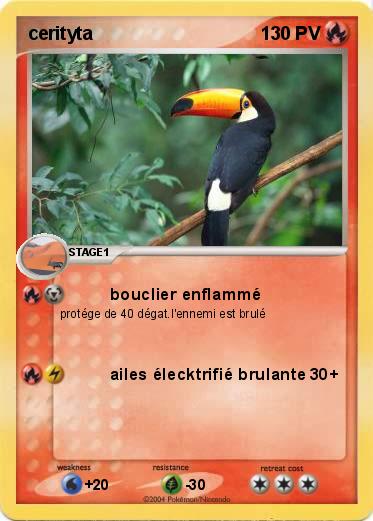 Pokemon cerityta