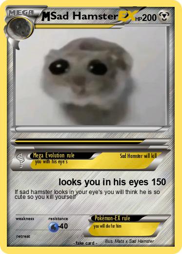 Pokemon Sad Hamster