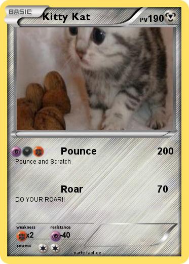 Pokemon Kitty Kat