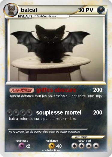 Pokemon batcat