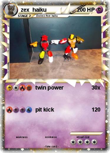 Pokemon zex  haiku
