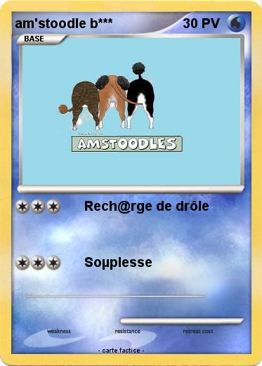 Pokemon am'stoodle b***