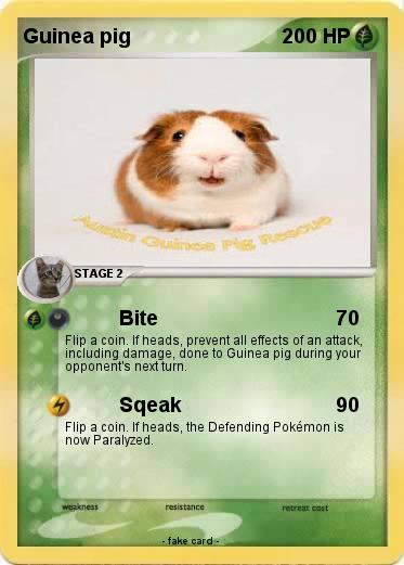 Pokemon Guinea pig