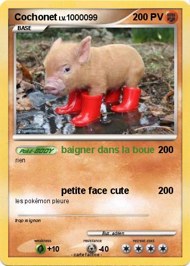 Pokemon Cochonet