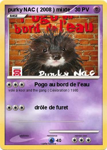 Pokemon purky NAC ( 2008 ) mixte