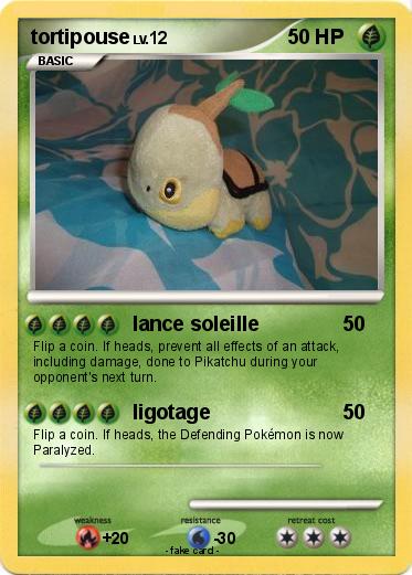 Pokemon tortipouse